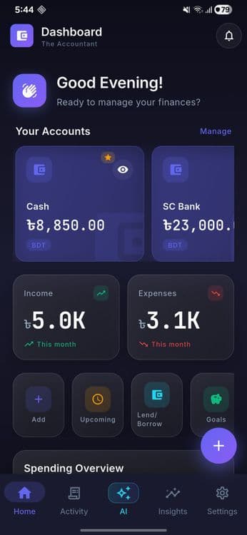 The Accountant project preview